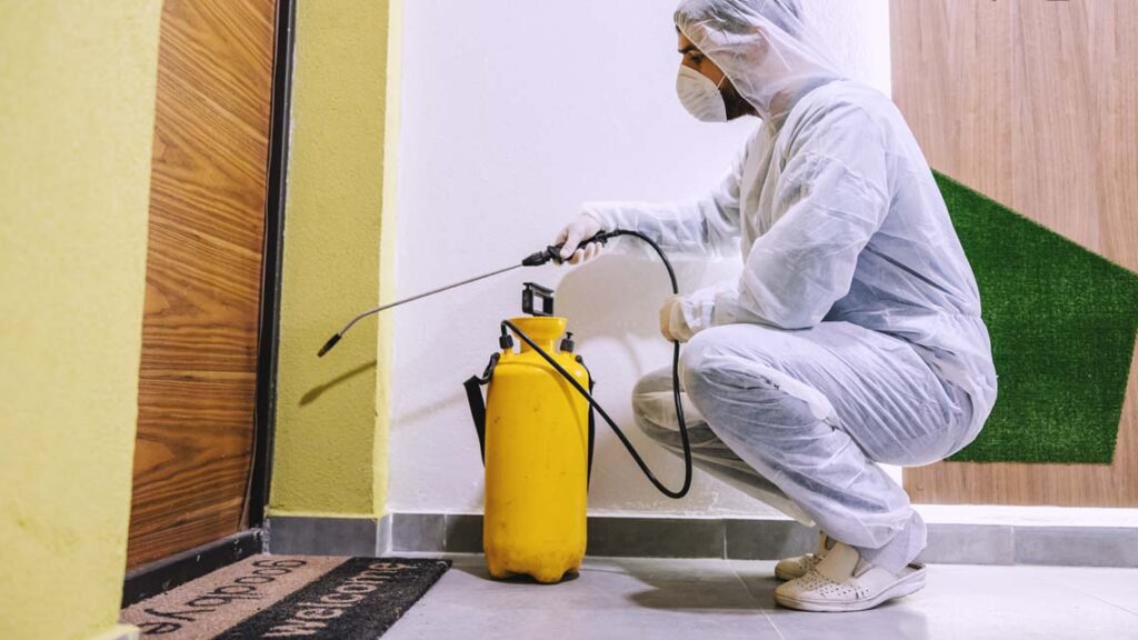 شركه مكافحه حشرات بالدمام