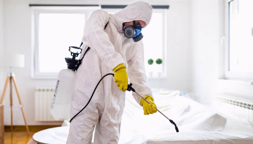 شركه مكافحه حشرات بالجبيل